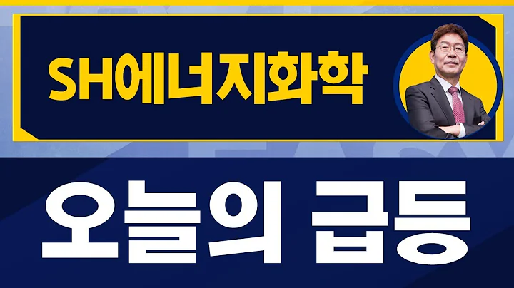 업황이 안좋았지만 회사는 튼튼, 주가의 향방은? / SH에너지화학(002360) / [박준현 운용역_진짜 쉬운 진단]