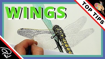 Watercolor Dragonfly Painting - TOP TIPS for Realistic Insect Wings