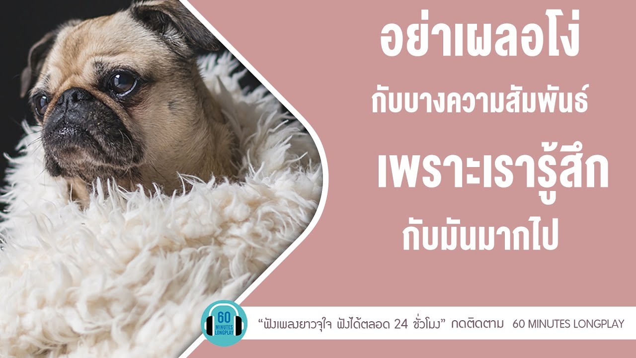 อย่าเผลอโง่กับบางความสัมพันธ์ เพราะเรารู้สึกกับมันมากไป l ติดตลก,นอนไม่หลับ l【LONGPLAY】