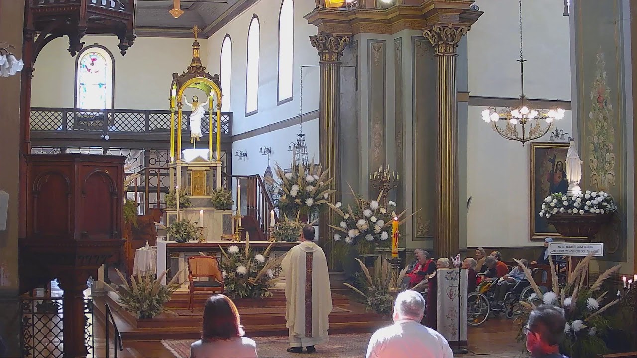 Misa 08 de Abril del 2026