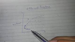 Efficient frontier(CAPM)