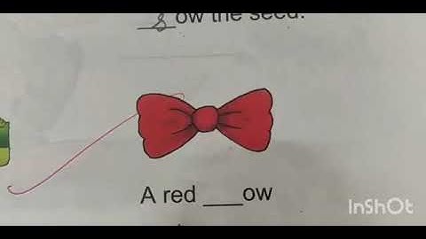 Class 2 English Lesson 12 Part 3 Reader Book