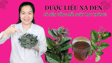Có nên sử dụng dược liệu xạ đen mỗi ngày hay không?