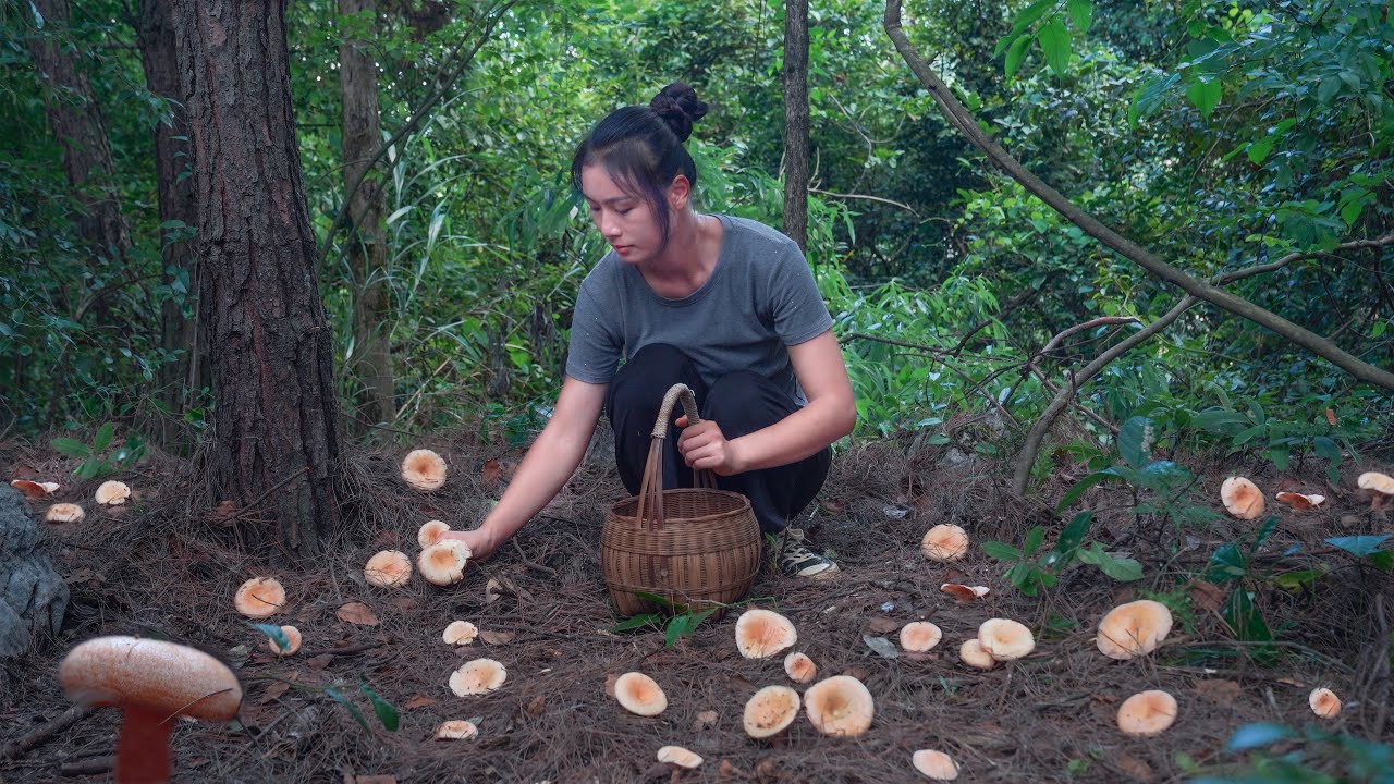 Все сокровища в горах открылись после дождя