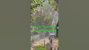 Cricket, Badminton Net 8800948180 safety net bird net monkey net service all over India #shorts