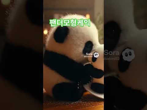 팬더의오해 #petshorts