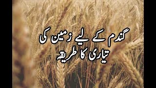 How to Prepare Land for Wheat Crop in Pakistan |Wheat Production|