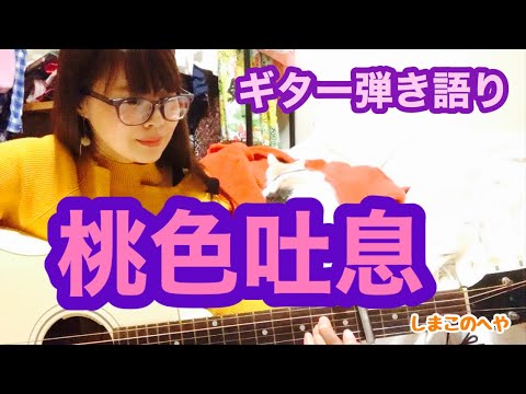 桃色吐息/高橋真梨子☆カバーギター弾き語り☆95☆しまこのへや