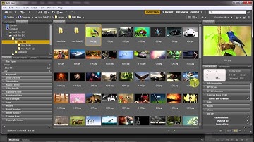 Adobe Photoshop CS6 How To Use Adobe Bridge-In Urdu