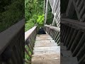 Bear-y Best of Tennessee