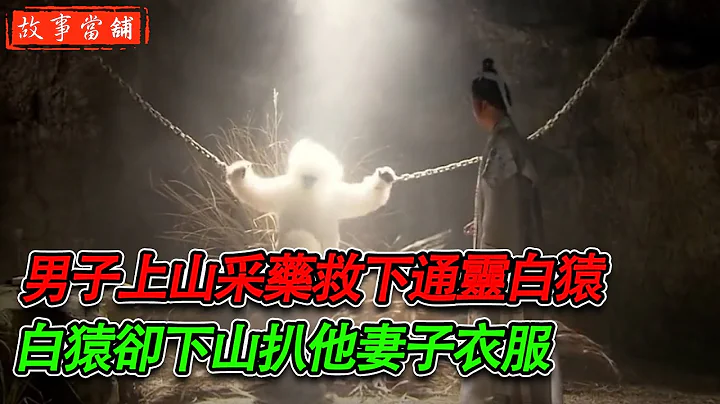 男子上山采藥救下通靈白猿，白猿卻下山扒他妻子衣服 | 民間故事 | 故事當舖 - 天天要聞