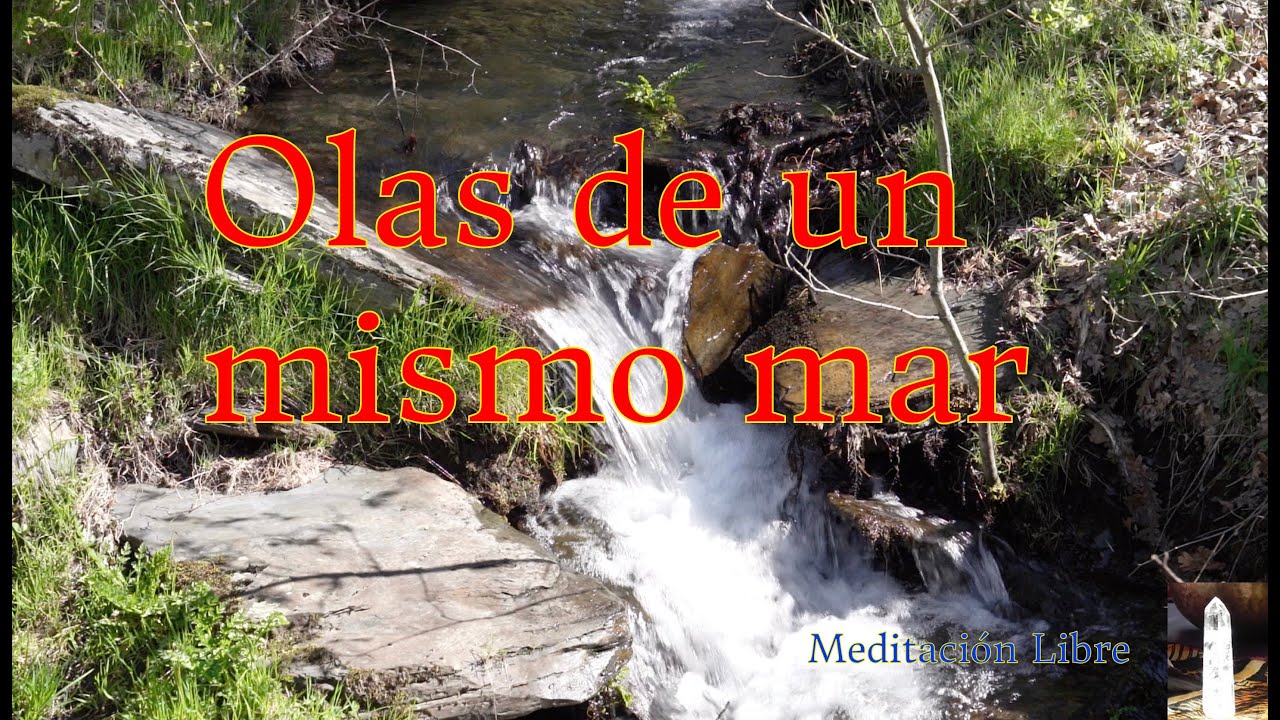 Olas de un mismo mar