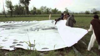 Reprieve Foundation - Not a Bug Splat!