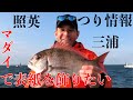 【マダイ】つり情報の撮影、裏側全部見せちゃいます(前編)