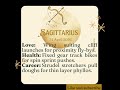 Sagittarius Horoscope Today 24 April 2026 | A Major Change Is Coming! #astrology#december2025 #march