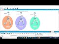 Configuring Dynamic Routing Protocol: RIP