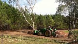 Down Goes The Chinaberry Tree