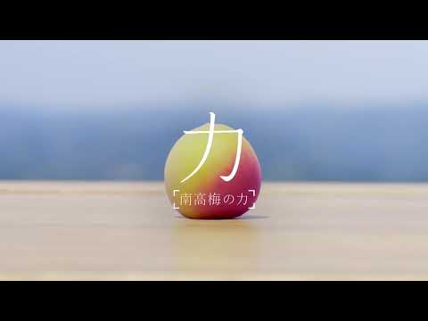 The CHOYA CM