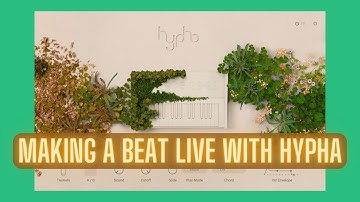 Making a Beat with Hypha by Native Instruments