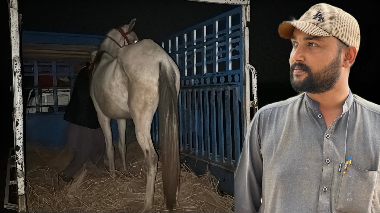 "Raat Ke Andhere Mein Ye Kya Karna Para? 🌑 Ghodi Ke Sath Achanak Ye Kyun Hua?"