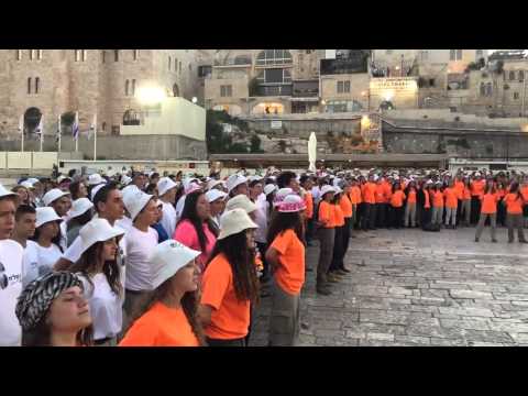 מש"צים פלוס - טקס התחייבות המש"צים של מחוז חיפה - 2015