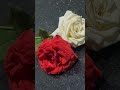 حبيبت عمرى