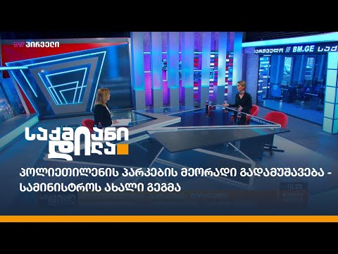 პოლიეთილენის პარკების მეორადი გადამუშავება - სამინისტროს ახალი გეგმა