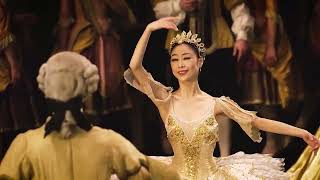 Birmingham Royal Ballet - Sleeping Beauty | Bristol Hippodrome | ATG Tickets