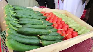 Afghanistan Sustainable Economic Development And Employment Promotion In Baghlan