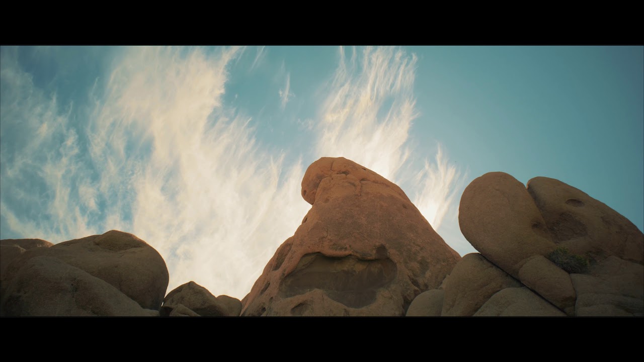 Joshua Tree - GH5 with SLR Magic 8mm lens