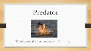 Basic Science Week 2 Power Point Slides