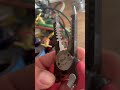 Product Review Milwaukee Wire Strippers Product Review Milwaukee Wire Strippers