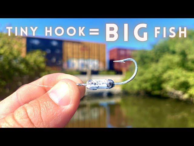 This Tiny Hook Catches BIG Fish! While Flats Fishing with Live