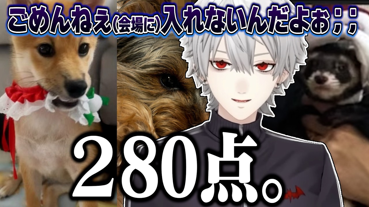 動物に甘く、人間に失礼な葛葉【にじさんじ/切り抜き/葛葉/雑談】
