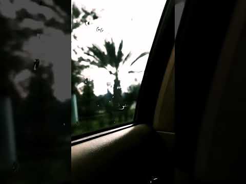 إنت المعنى في حياتي   اكسبلور لايك تابعوني حالات واتس حالات واتس اب