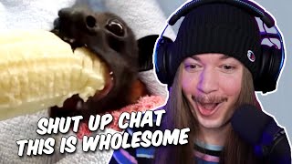 JimmyHere Reacts To Me When Your Mom (And Daily Dose of Internet)