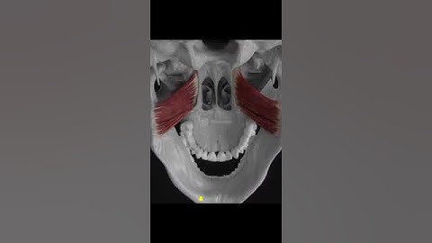 القارئ محمد صديق المنشاوي #سبحان_الله