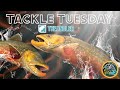 Tackle TUESDAY with the BOYS! @brobrahfratt @Kinsko @JebbaTheMenace @ScarecrowTheHunter