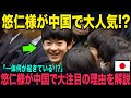 「え?なんで?」悠仁様が中国で大人気!?理由を徹底解説