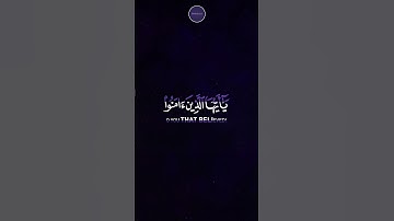 إِنَّ اللَّهَ وَمَلَائِكَتَهُ يُصَلُّونَ عَلَى النَّبِيِّ ۚ  #قرآن #تلاوة_خاشعة #تلاوة_عذبة