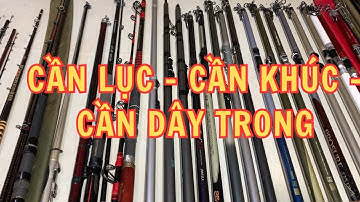 Cần Câu Nhật :  Cần Dây Trong, Cần Lục, Cần Bạc Bãi, Lục 3 Khúc, Tournament, Nissin -  Video  966