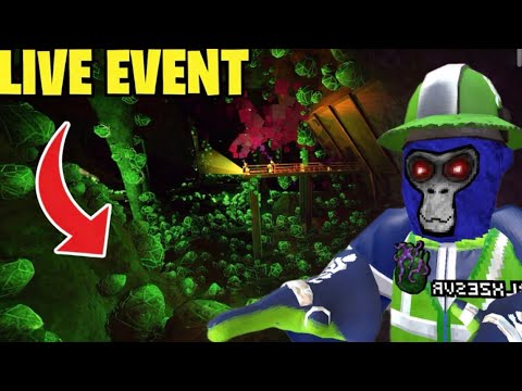 New gtag live event ! (It was so cool)