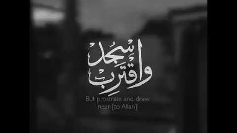 قرآن كريم بصوت القارئ حسام الدين عبادي تلاوة هادئة أرح قلبك❤️ حالات واتس اب / ستوريات