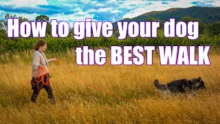 Give your dog the BEST WALK!