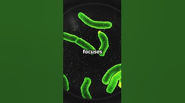 Could We Terraform Mars The Latest Science