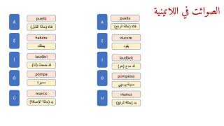 مقدمة في اللغة اللاتينية - المحاضرة الثانية