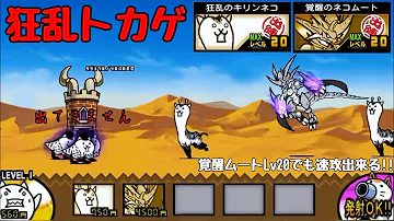 大狂乱のトカゲ 速攻