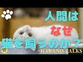 自分の猫にネズミを捕まえてもらっていますか？人間はなぜ猫を飼うのか？人間の心の深層を探る