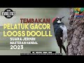 PELATUK BERAS GACOR SUARA JERNIH MASTERAN HANDAL 2023