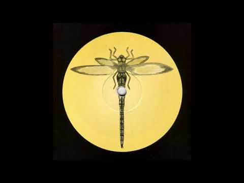 Genetic - Transmission EP [1994] Dragonfly Records [Goa